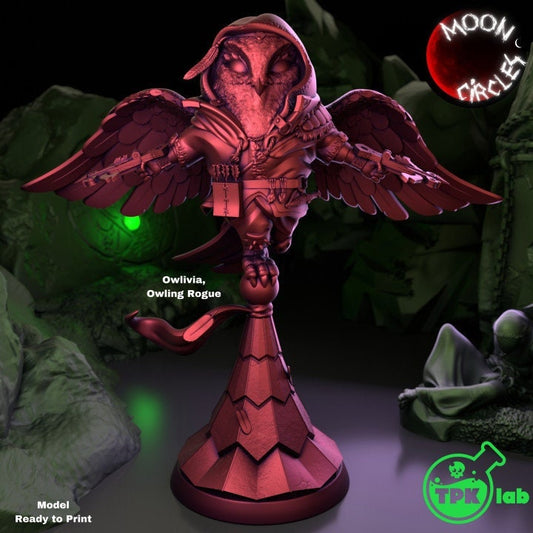 Owling Rogue | Moon Circles | TPK Lab