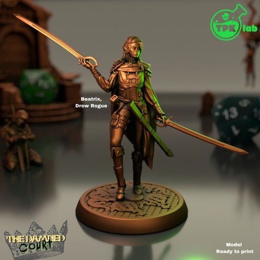 Female Drow Rogue | The Damned Court | TPK Lab