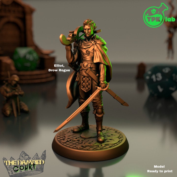 Drow Rogue | The Damned Court | TPK Lab