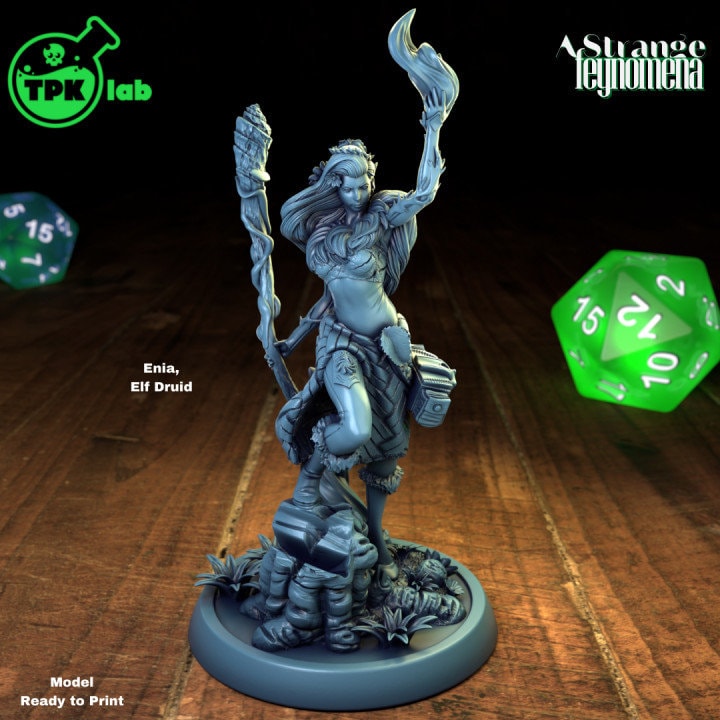 Elf Druid | A Strange Feynomena | TPK Lab
