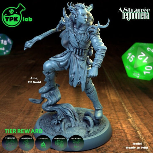Elf Druid | A Strange Feynomena | TPK Lab