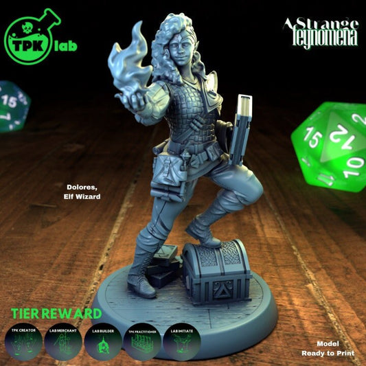 Elf Wizard | A Strange Feynomena | TPK Lab