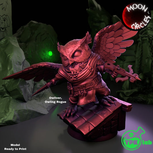 Owling Rogue | Moon Circles | TPK Lab