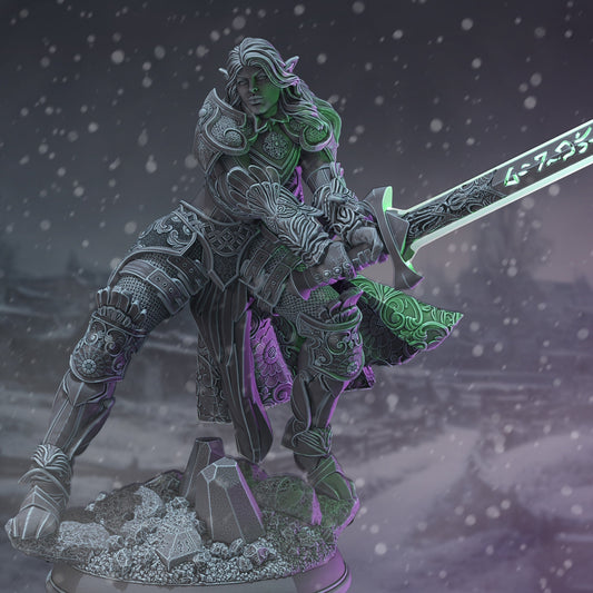 Elf Paladin | The Thawing Dead | DM Stash