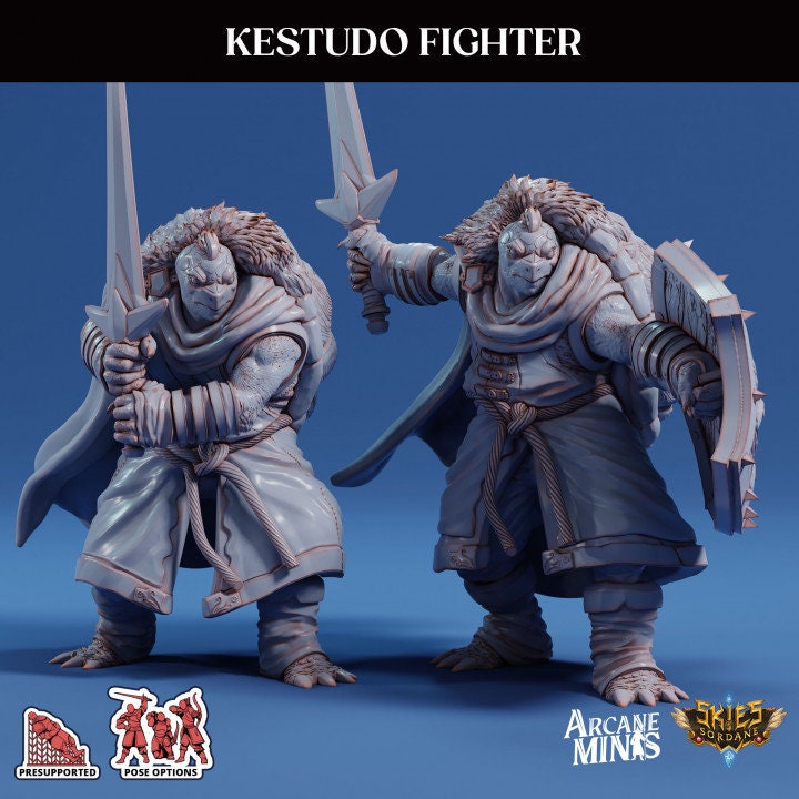 Tortle Fighter | Risky Racing | Arcane Minis