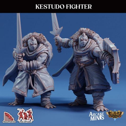Tortle Fighter | Risky Racing | Arcane Minis