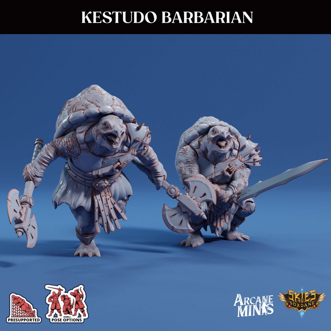 Tortle Barbarian | Risky Racing | Arcane Minis