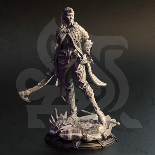 Elf Fighter | Arcane Skies | DM Stash