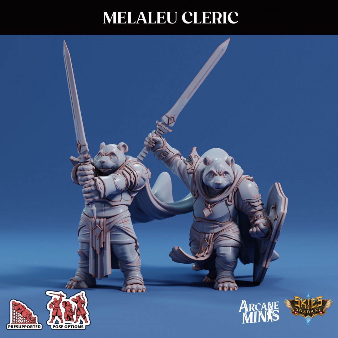 Pandaren Paladin | Risky Racing | Arcane Minis