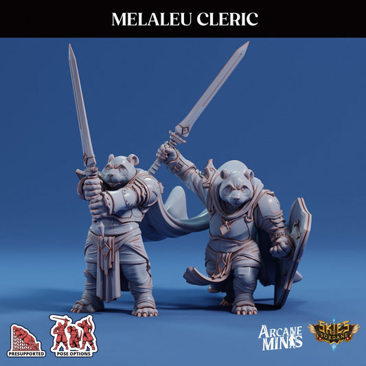 Pandaren Paladin | Risky Racing | Arcane Minis