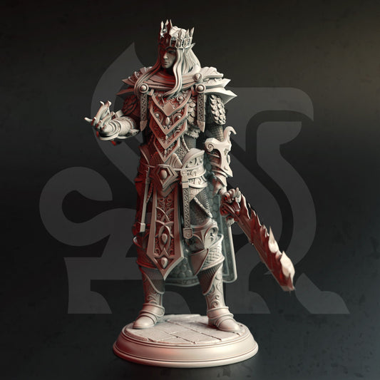 Elf Paladin, Artorian Nirloom | The Siege of Nirloom | DM Stash