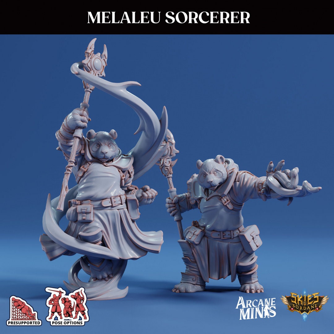 Pandaren Sorcerer | Risky Racing | Arcane Minis