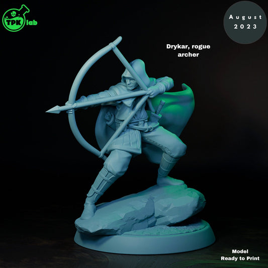 Human Rogue Archer, Drycar | TPK Lab