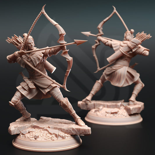 Ervion ro Estel - Elven Ranger | Adventure Calls | DM Stash