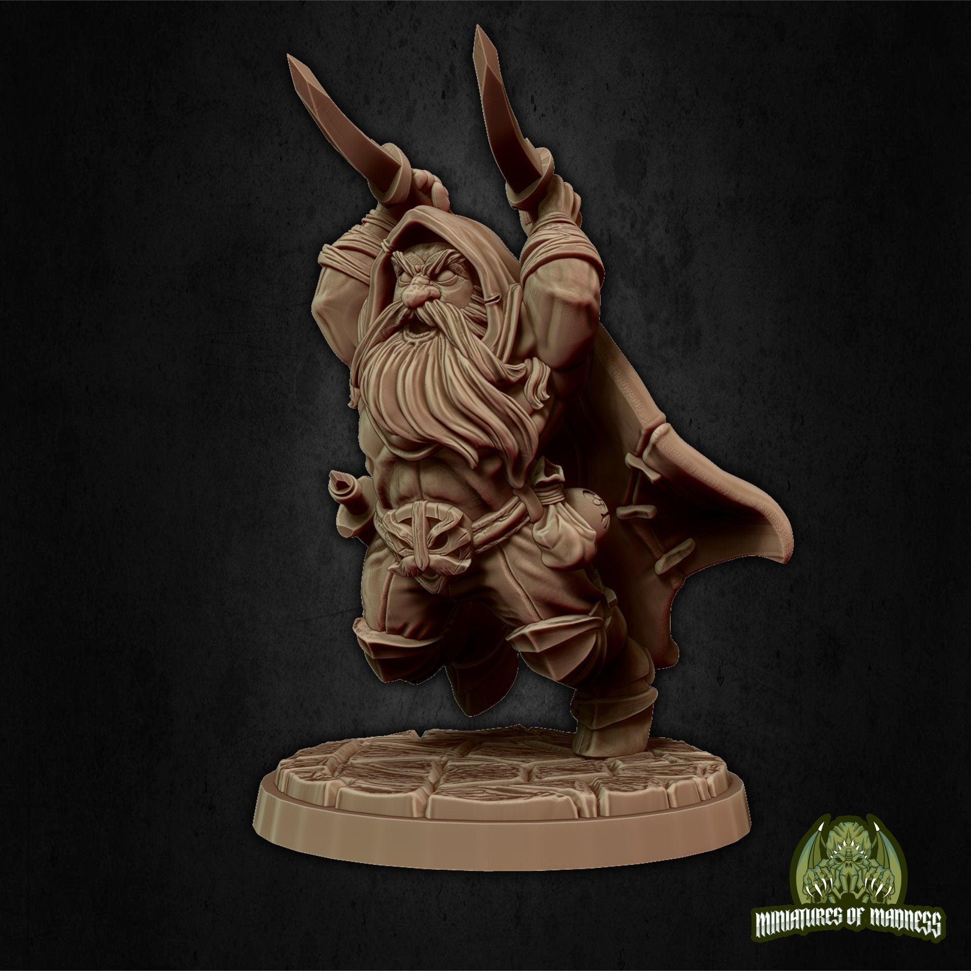 Kogan the Raider, Dwarf Rogue | Miniatures of Madness
