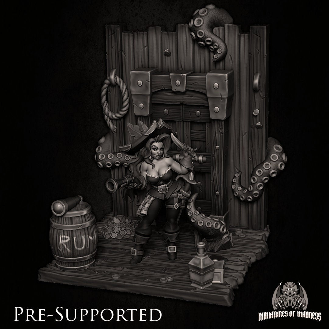 Grace the Piratess | Miniatures of Madness