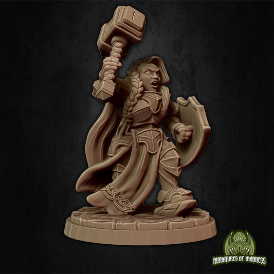 Bryna the Indomitable, Female Dwarf Paladin Cleric | Miniatures of Madness