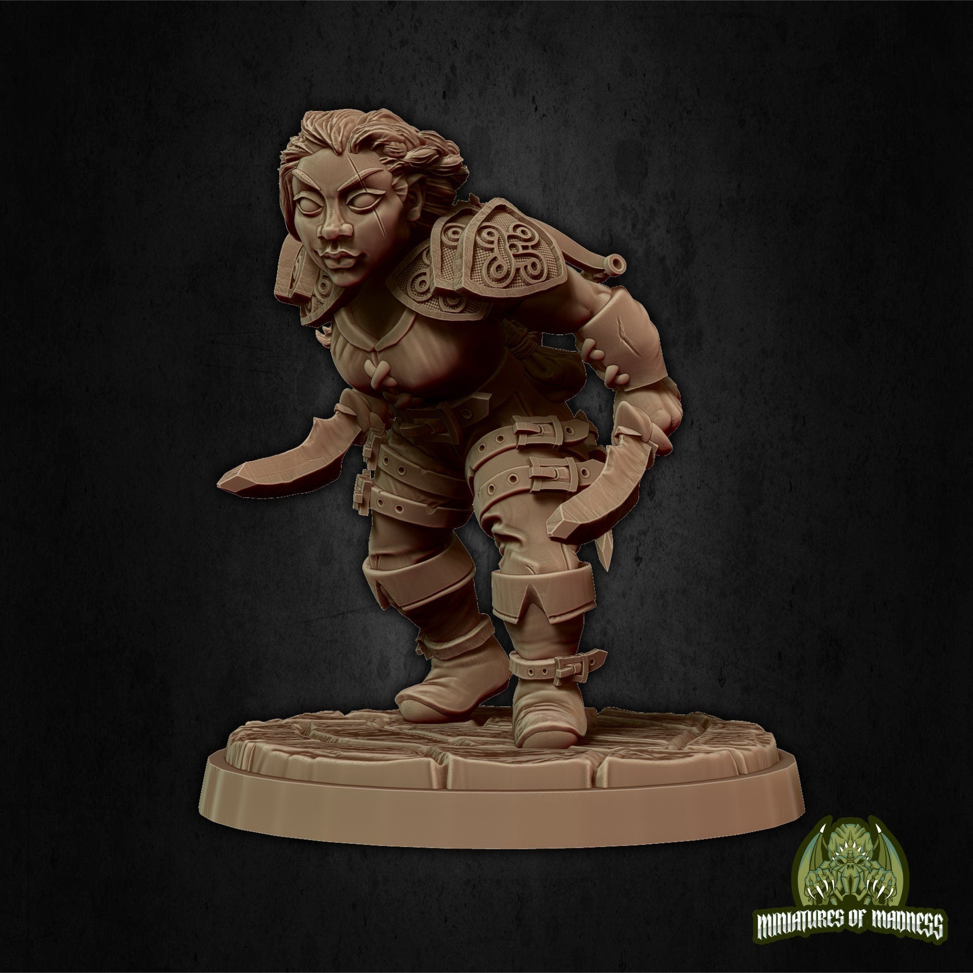 Felin Fastep, Female Dwarf Rogue | Miniatures of Madness
