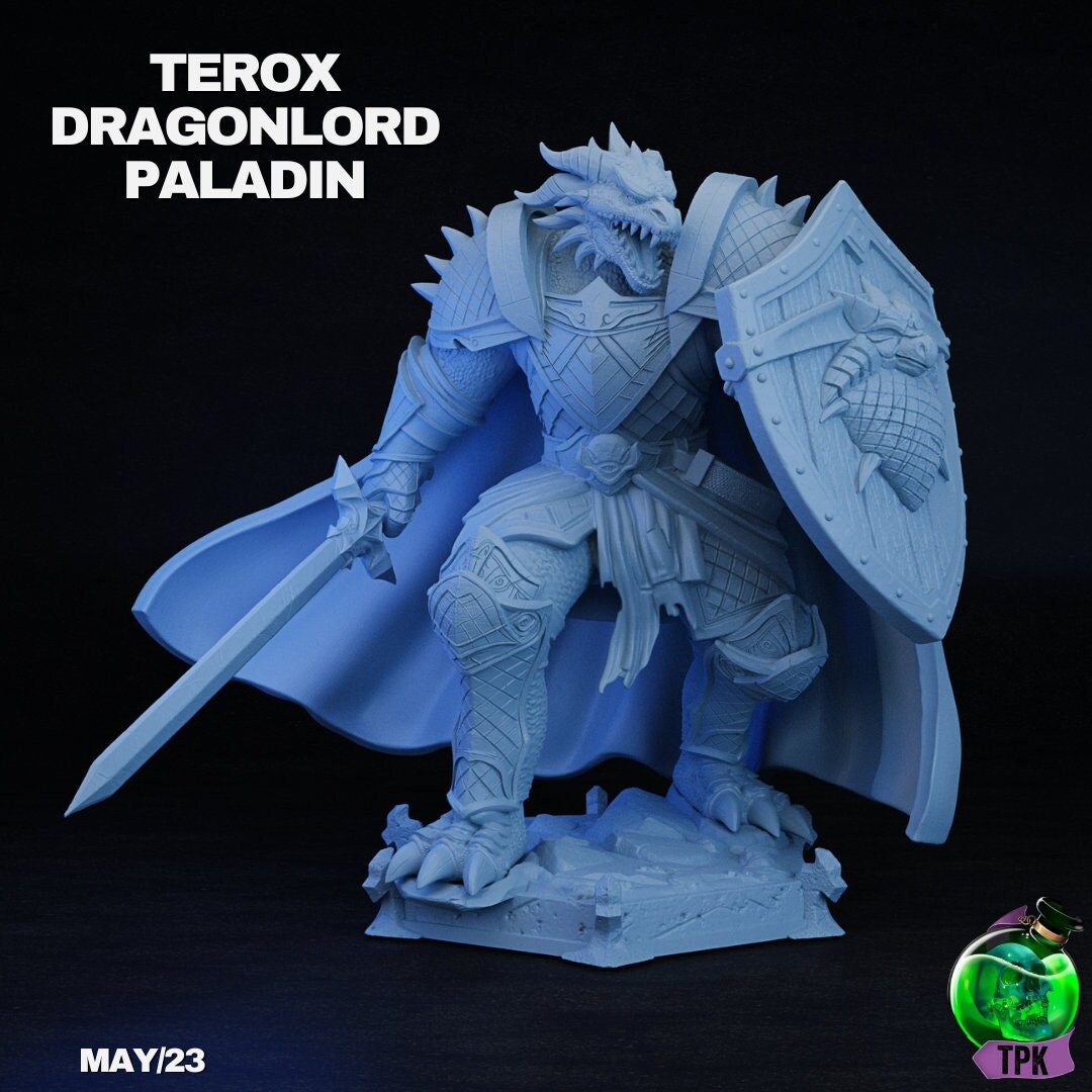 Terox Dragonborn Paladin | TPK Lab