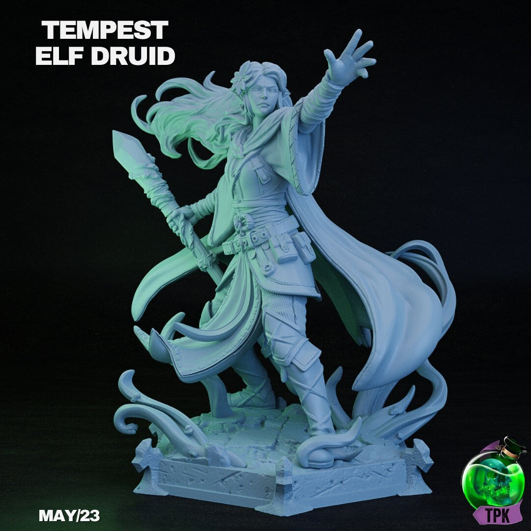 Tempest Elf Druid | TPK Lab