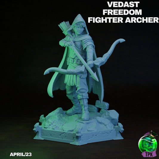 Vedast Freedom Fighter Archer, Elf Ranger | TPK Lab