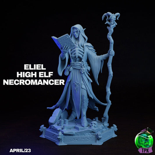 Eliel High Elf Necromancer | TPK Lab