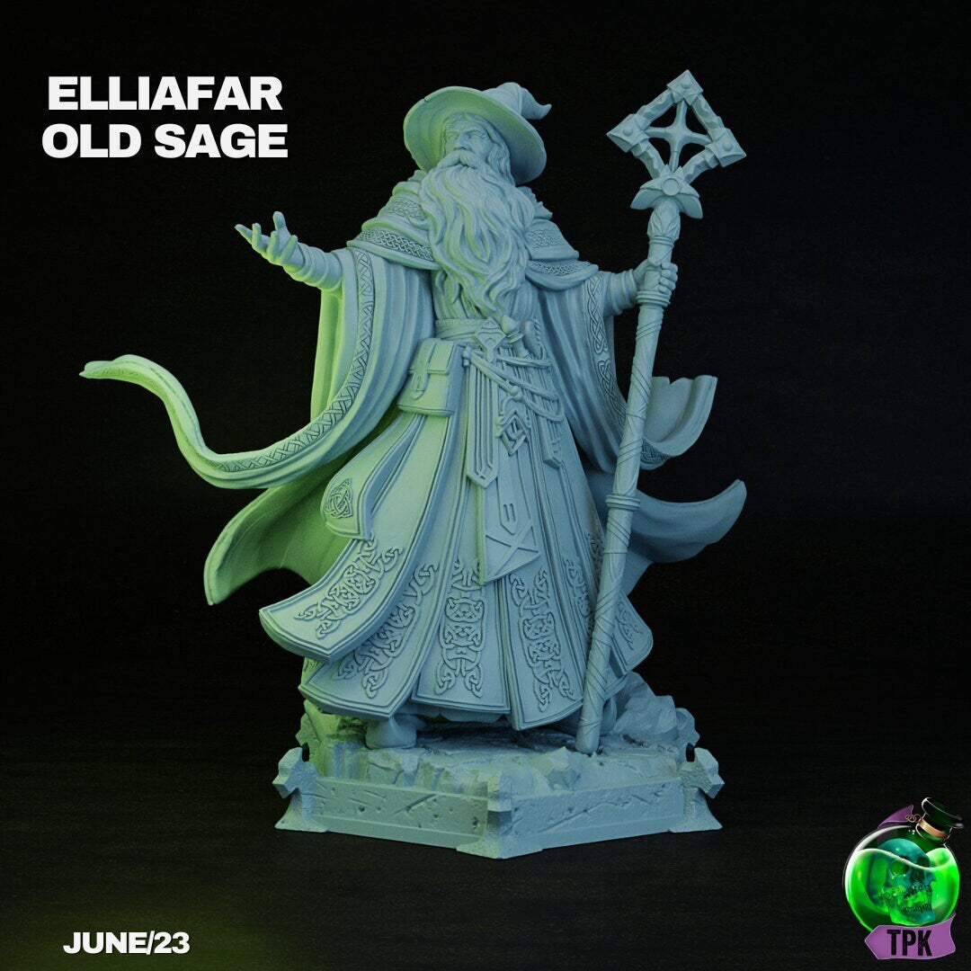 Elliafar Old Sage, Human Wizard | TPK Lab