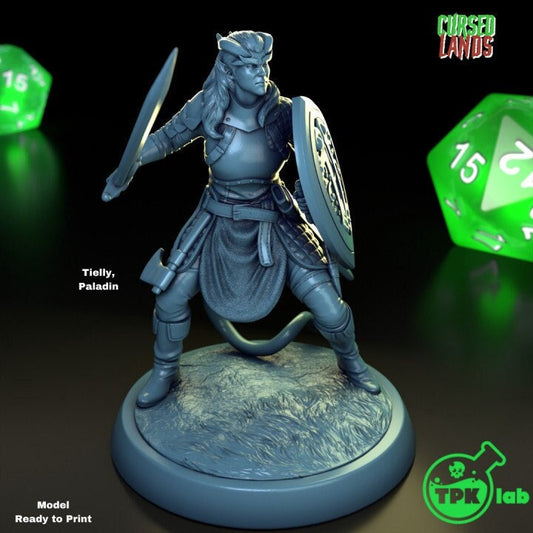 Female Tiefling Paladin | Cursed Lands | TPK Lab