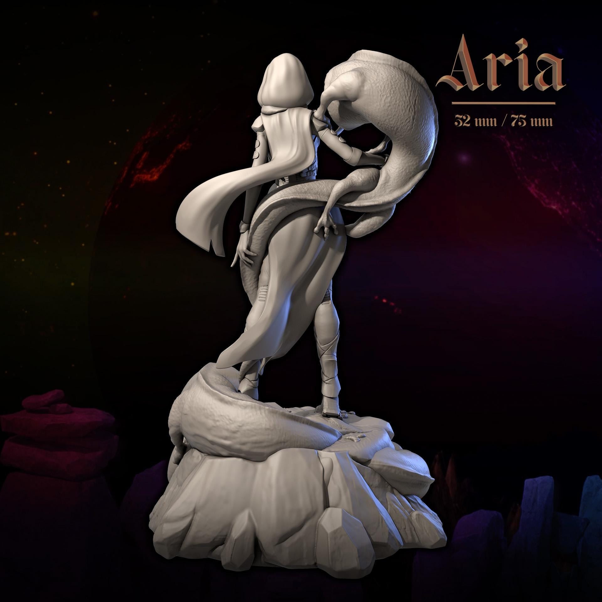 Aria | Dungeons and Maidens