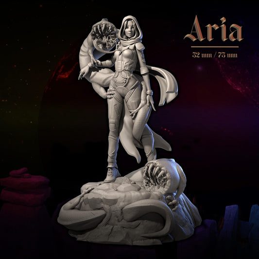 Aria | Dungeons and Maidens