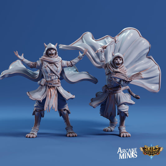 Tabaxi Sorcerer | Arcane Minis