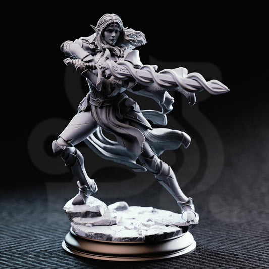 Cerindelia of House Verani - High Elf Spellsword | Welcome to the Arena | DM Stash